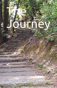 The Journey book cover